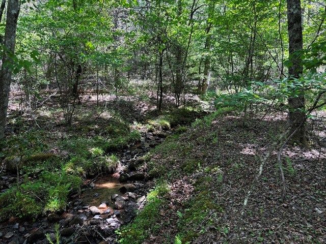 1190 Maple Grove Road, Morganton, GA 30560