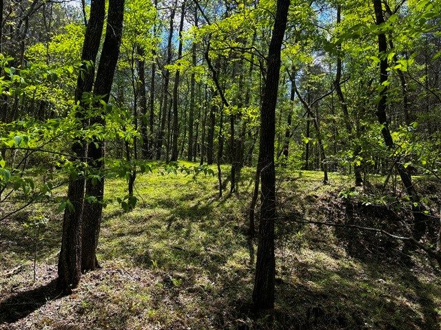 1190 Maple Grove Road, Morganton, GA 30560