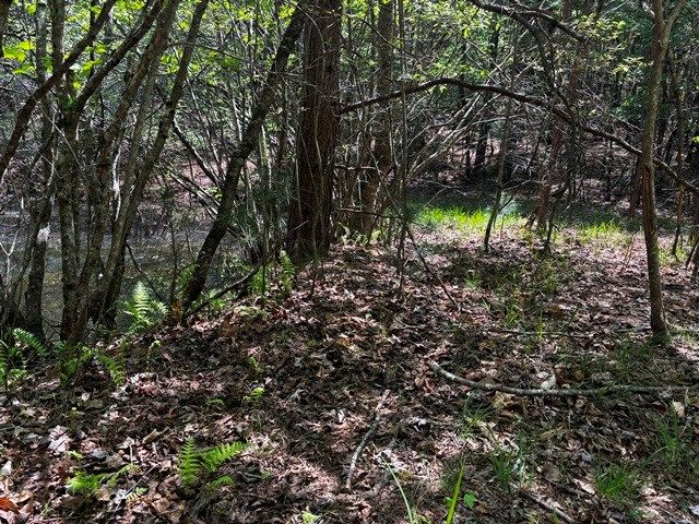 1190 Maple Grove Road, Morganton, GA 30560