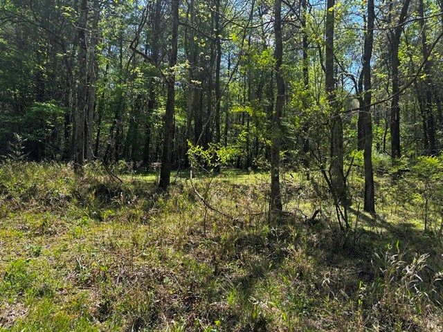 1190 Maple Grove Road, Morganton, GA 30560