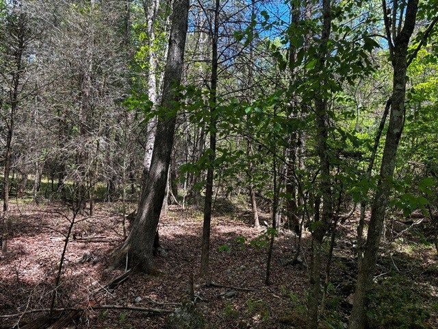 1190 Maple Grove Road, Morganton, GA 30560