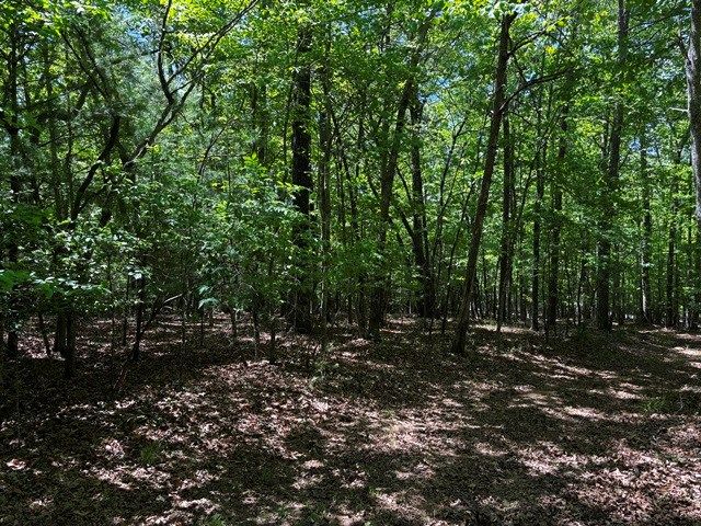 1190 Maple Grove Road, Morganton, GA 30560