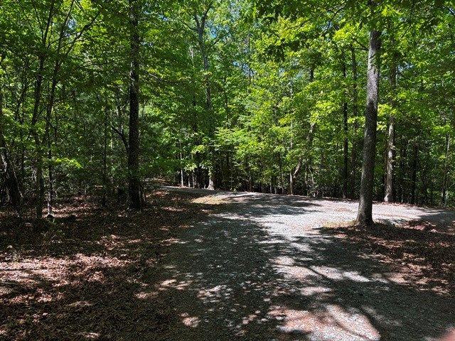 1190 Maple Grove Road, Morganton, GA 30560