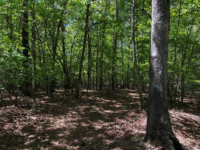 1190 Maple Grove Road, Morganton, GA 30560