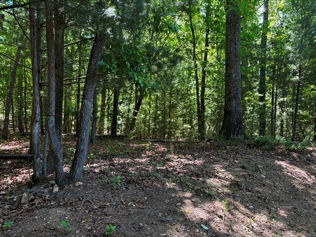 1190 Maple Grove Road, Morganton, GA 30560