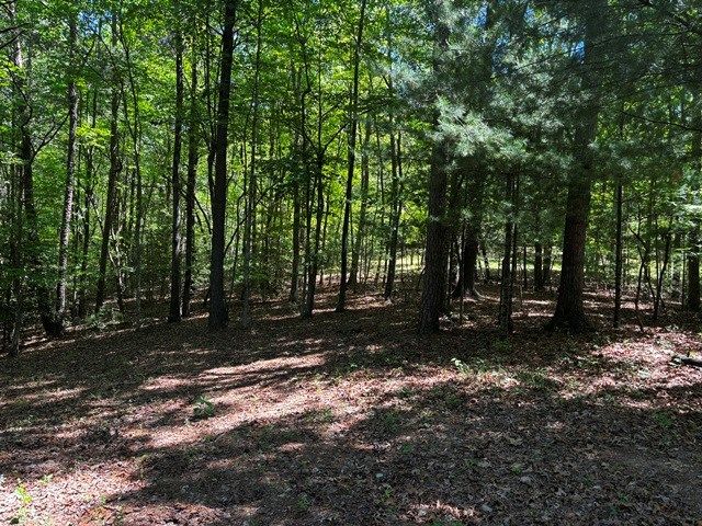 1190 Maple Grove Road, Morganton, GA 30560