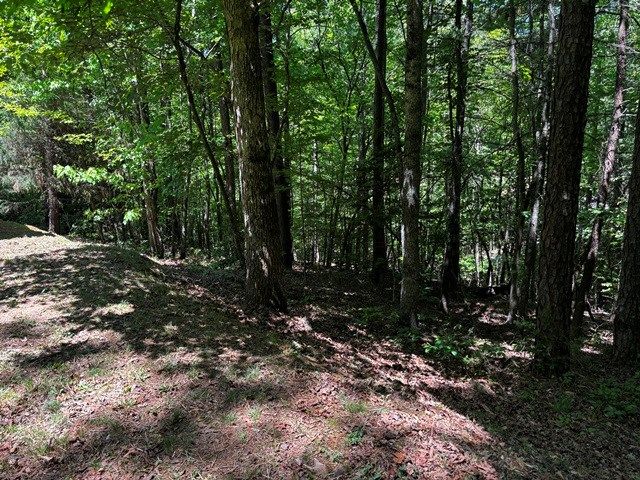 1190 Maple Grove Road, Morganton, GA 30560