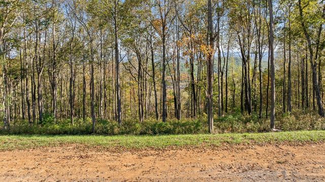 Lot 375 Calloway Mountain Road, Talking Rock, GA 30175