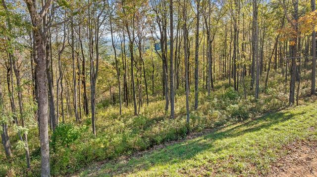 Lot 375 Calloway Mountain Road, Talking Rock, GA 30175