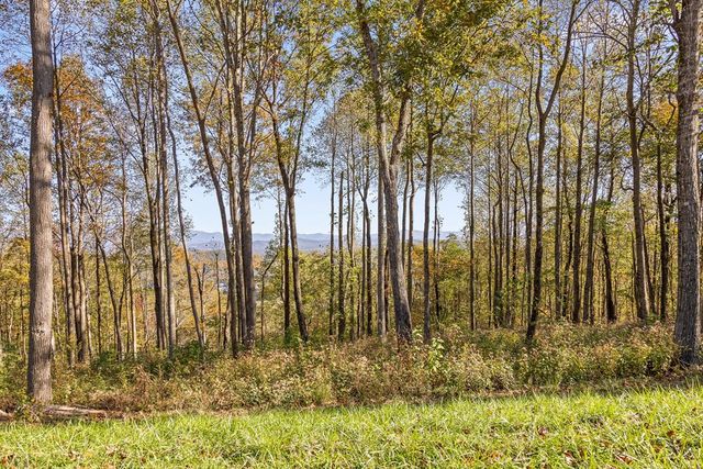 Lot 375 Calloway Mountain Road, Talking Rock, GA 30175