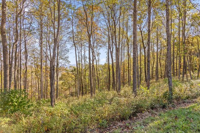 Lot 375 Calloway Mountain Road, Talking Rock, GA 30175