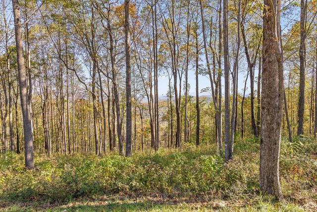 Lot 375 Calloway Mountain Road, Talking Rock, GA 30175