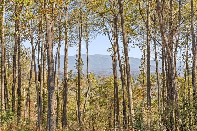 Lot 375 Calloway Mountain Road, Talking Rock, GA 30175