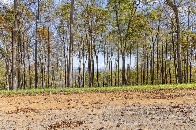 Lot 375 Calloway Mountain Road, Talking Rock, GA 30175