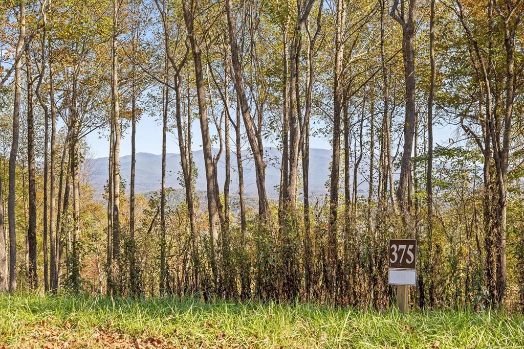 Lot 375 Calloway Mountain Road, Talking Rock, GA 30175