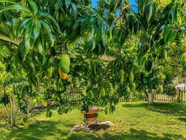 2405 ICECAPADE DRIVE, Sarasota, FL 34240