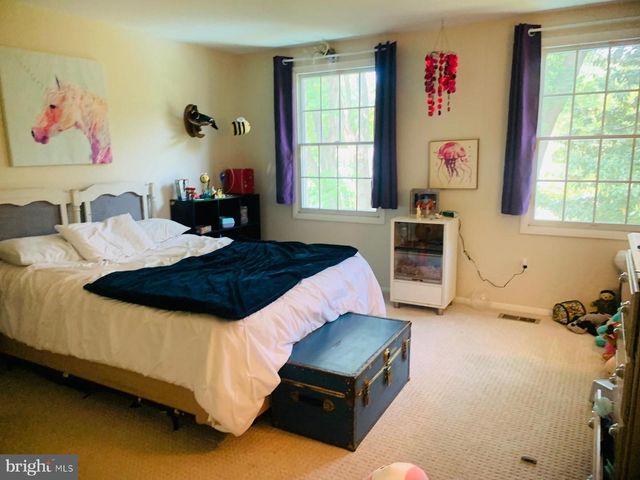 1163 KETTLE POND LN, Great Falls, VA 22066