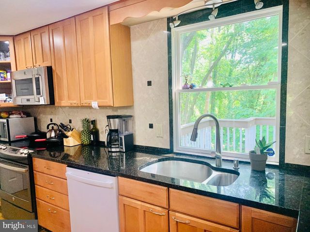 1163 KETTLE POND LN, Great Falls, VA 22066