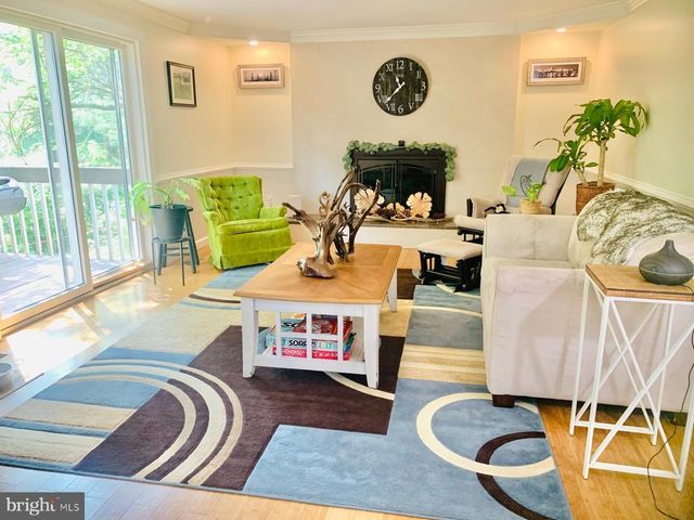 1163 KETTLE POND LN, Great Falls, VA 22066