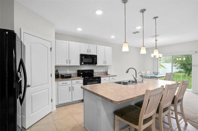 1872 RUSTIC FALLS DRIVE, Kissimmee, FL 34744