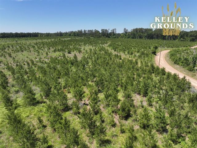 1-4 Kelley Road, Livingston, TX 77351