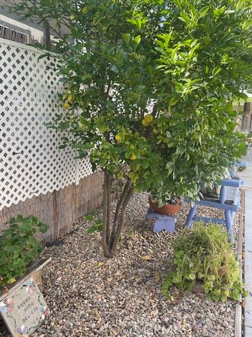 13962 Magnolia Avenue 90, Poway, CA 92064