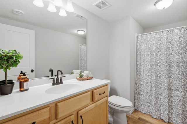 13995 Abbeyfield Avenue, Rosemount, MN 55068