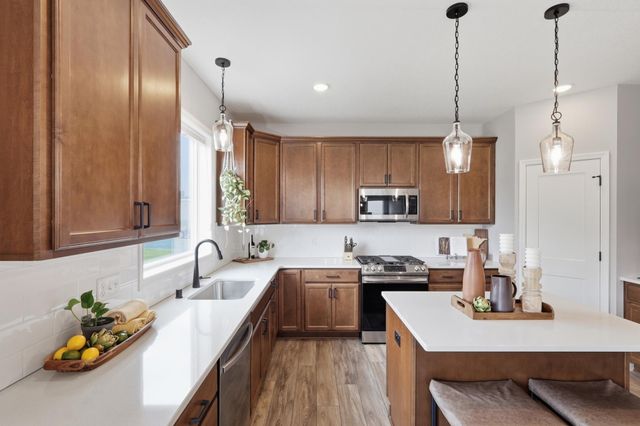 13995 Abbeyfield Avenue, Rosemount, MN 55068