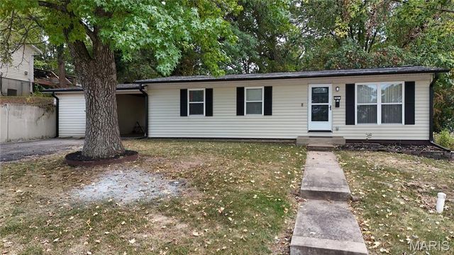 702 Locust Street, Festus, MO 63028