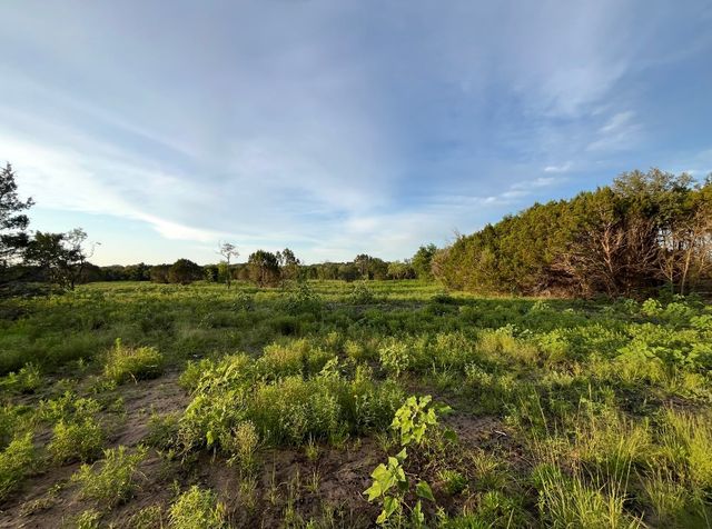 TBD Hwy 220 Tract 6, Hico, TX 76457