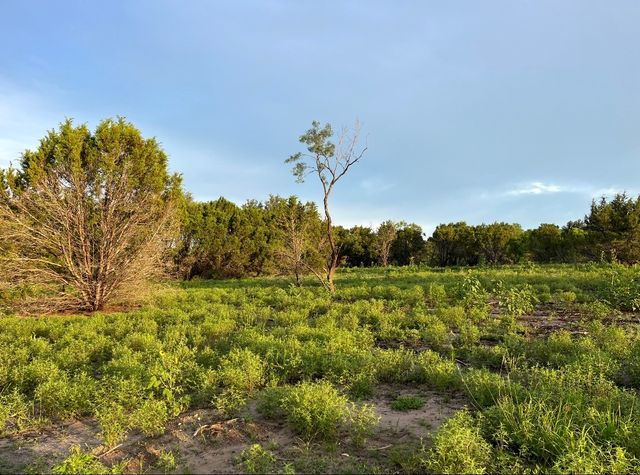 TBD Hwy 220 Tract 6, Hico, TX 76457