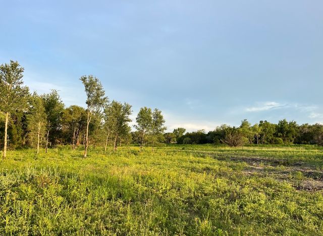 TBD Hwy 220 Tract 6, Hico, TX 76457