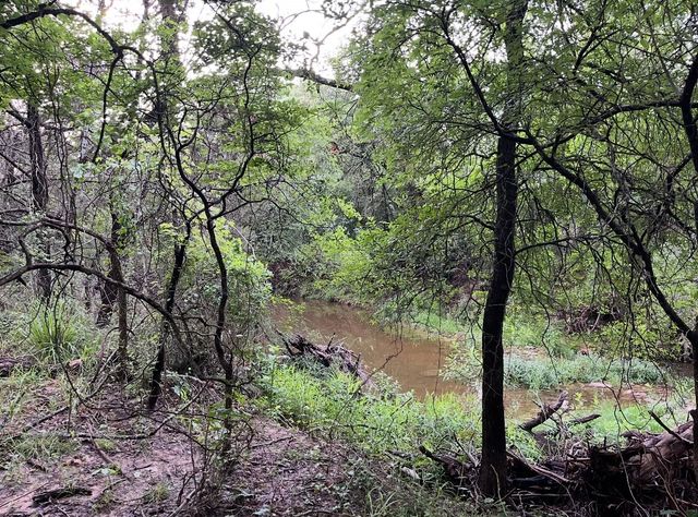 TBD Hwy 220 Tract 6, Hico, TX 76457