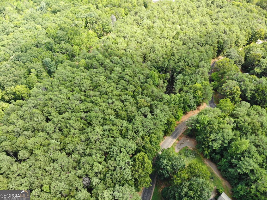 0 Cider Ridge, Clarkesville, GA 30523 — photo 5