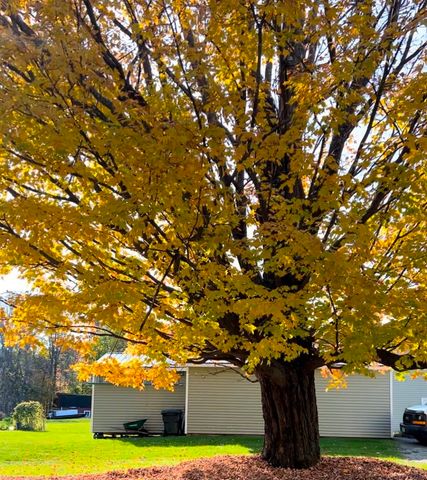 67 Highland Avenue, Derby, VT 05830