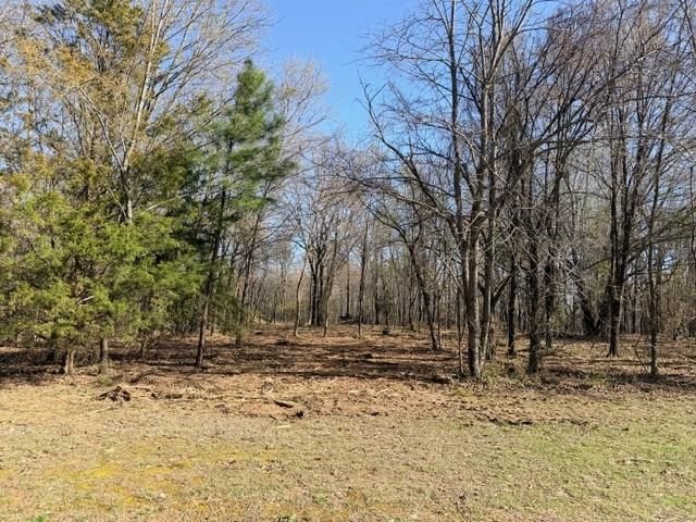 13668 Tally Gate Road, Springdale, AR 72762