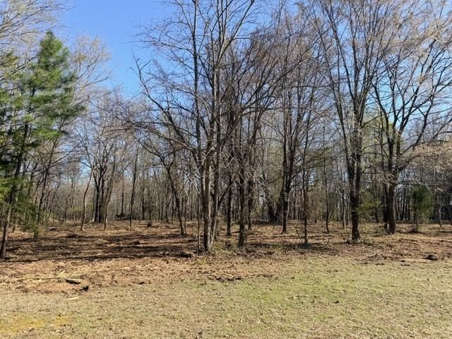 13668 Tally Gate Road, Springdale, AR 72762
