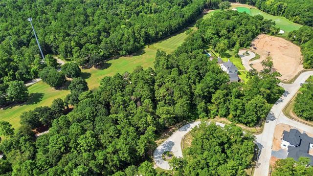 103 Chateau Pines Court, Montgomery, TX 77316