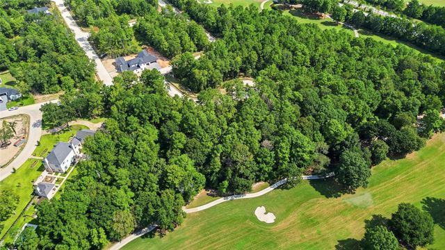 103 Chateau Pines Court, Montgomery, TX 77316