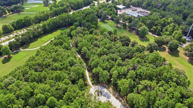 103 Chateau Pines Court, Montgomery, TX 77316