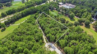 103 Chateau Pines Court, Montgomery, TX 77316