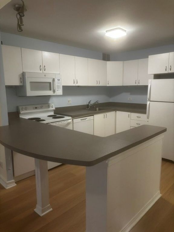 211 E OHIO Street 611, Chicago, IL 60611 — photo 4