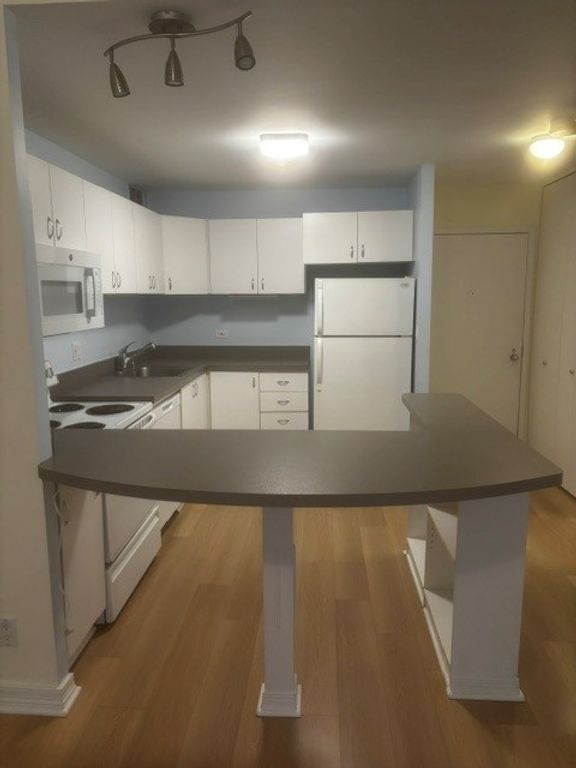 211 E OHIO Street 611, Chicago, IL 60611 — photo 5