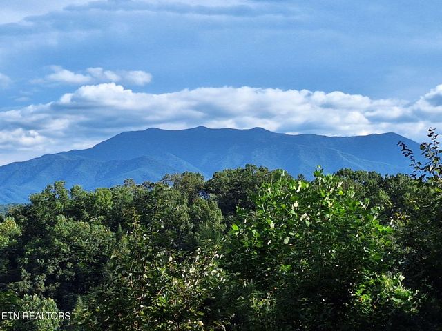 1428 Am King Way, Sevierville, TN 37876