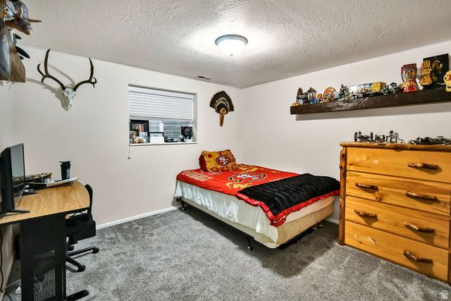 96 W 400 S, Monroe, UT 84754