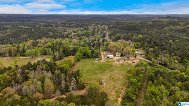 3237 MUD CREEK ROAD, Adger, AL 35006