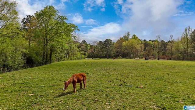 3237 MUD CREEK ROAD, Adger, AL 35006