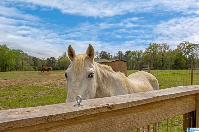 3237 MUD CREEK ROAD, Adger, AL 35006