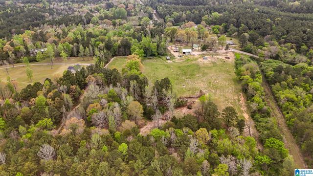 3237 MUD CREEK ROAD, Adger, AL 35006
