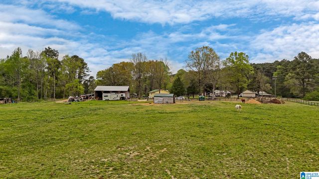 3237 MUD CREEK ROAD, Adger, AL 35006